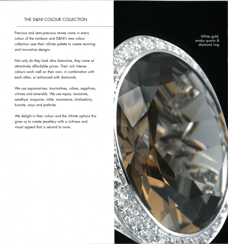 D&NIbrochure2